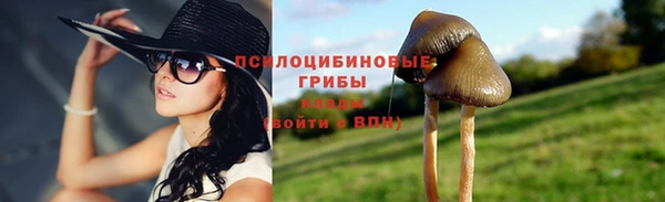 прущий лед Алзамай