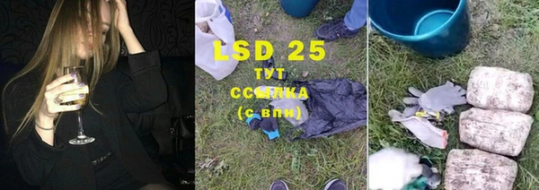 прущий лед Алзамай