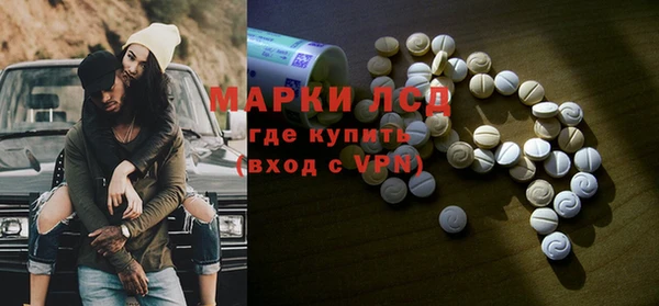 прущий лед Алзамай